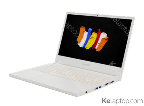 Acer ConceptD 3 Pro CN314-72P-7526 Características Acer ConceptD 3 Pro CN314-72P-7526 Características