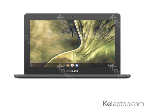 ASUS Chromebook C204MA-GJ0342 90NX02A1-M03990 Caratteristiche ASUS Chromebook C204MA-GJ0342 90NX02A1-M03990 Caratteristiche