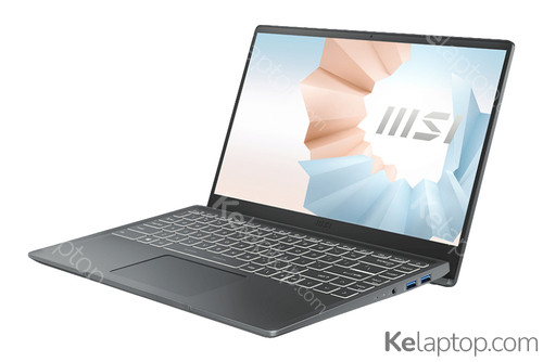 MSI Modern 14 B11SB-008ES Características