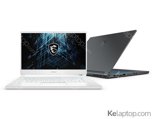 MSI Stealth 15M A11SDK-081FR Caractéristiques