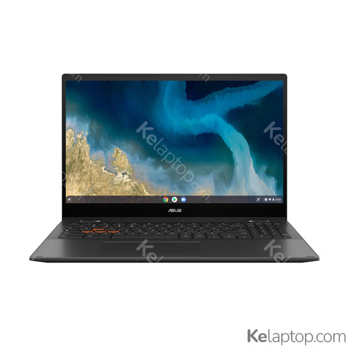 ASUS Chromebook Flip CM5 CM5500FDA-E60237 Características