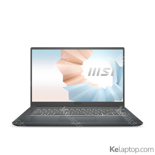 MSI Modern 15 A11ML-441NL Specificaties MSI Modern 15 A11ML-441NL Specificaties