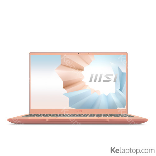 MSI Modern 14 B11MO-038 Características