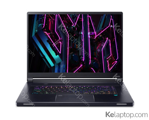 Acer Predator Triton 17 X PTX17-71-99C4 Características