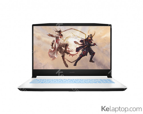 MSI Sword 15 A11UE-214PLE Specs