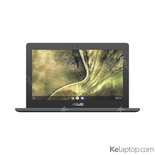 ASUS Chromebook C204EE-YB02-GR Características