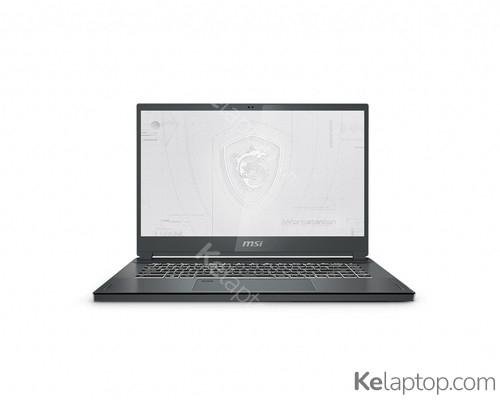 MSI Workstation WS66 11UKT-269 Price, score and specs