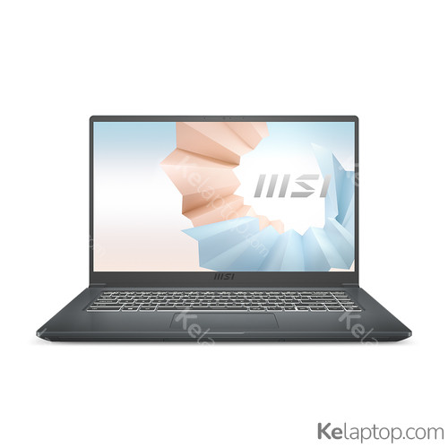 MSI Modern 15 A11MU-653 MODERN15A653 Specificaties