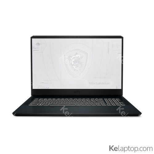 MSI Workstation WE76 11UK-460 Caractéristiques