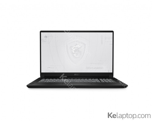 MSI WS76 11UM-435ES Caratteristiche