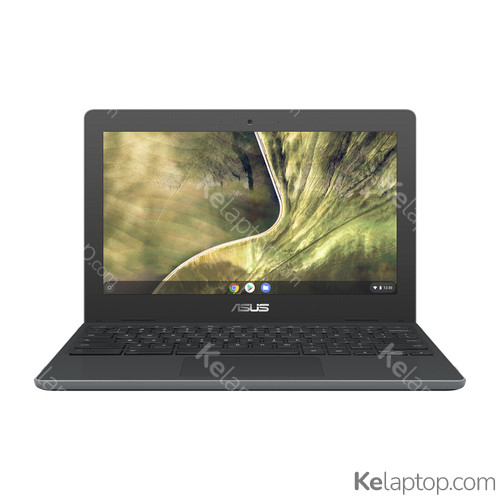 ASUS Chromebook C204EE-BB01-CB Características ASUS Chromebook C204EE-BB01-CB Características