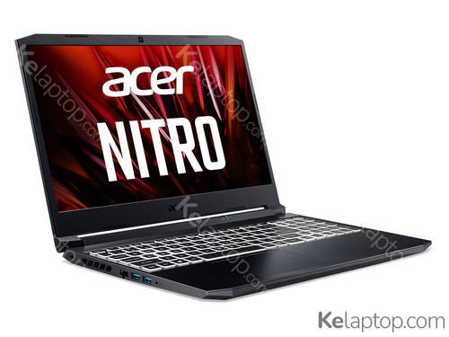 Acer Nitro 5 AN515-45-R5G6 NH.QBCEK.00E Specs
