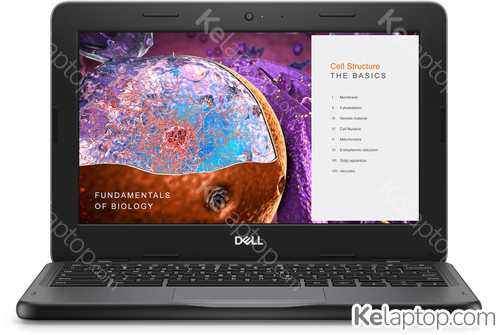 DELL Chromebook 3110 S003C3110JSLUS Specyfikacje DELL Chromebook 3110 S003C3110JSLUS Specyfikacje