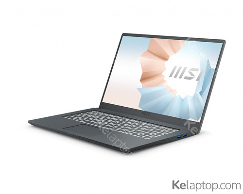 MSI Modern 15 A11MU-1044XFR Caractéristiques MSI Modern 15 A11MU-1044XFR Caractéristiques