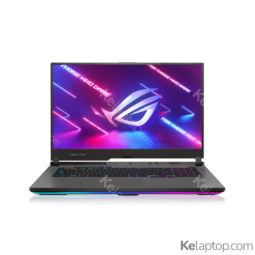 ASUS ROG Strix G17 G713IM-HX055W Caractéristiques