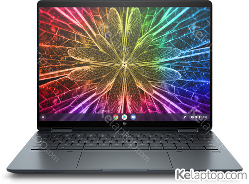 HP Elite Dragonfly Chromebook 5Q7G8EA Specs