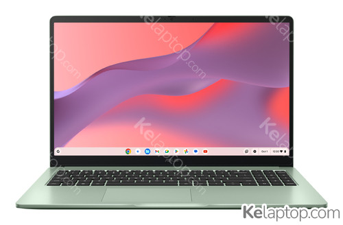 ASUS Chromebook CX15 CX1505CKA-S70156 Características ASUS Chromebook CX15 CX1505CKA-S70156 Características