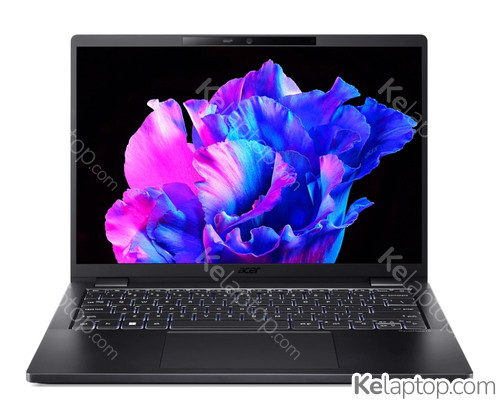 Acer TravelMate P6 TMP614-53-TCO-79R6 Características