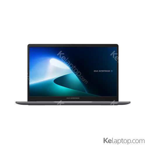 ASUS ExpertBook P1 P1403CVA-S62099 Características