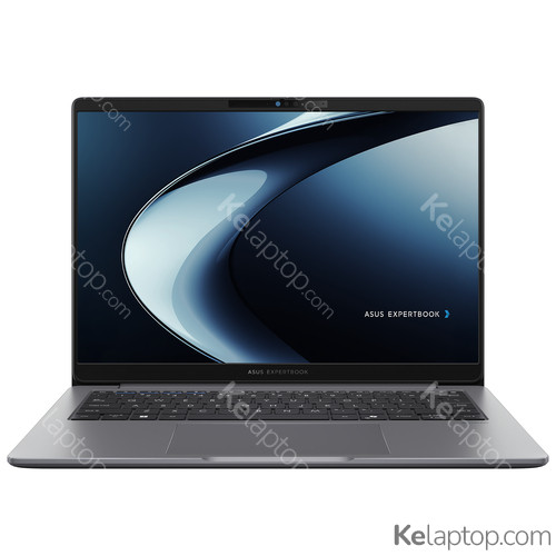 ASUS ExpertBook P3 PM3406CKA 90NX0971-M000M0 Características