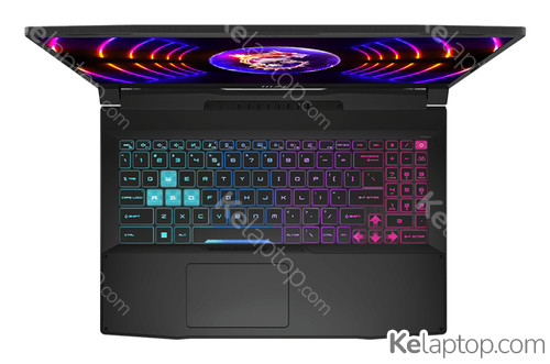 MSI Katana 15 B13VGK-1493XPL Características
