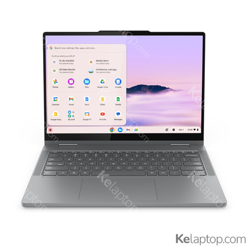 Lenovo Chrome 2in1 14IRU10 83LMS01A00 Ausstattung