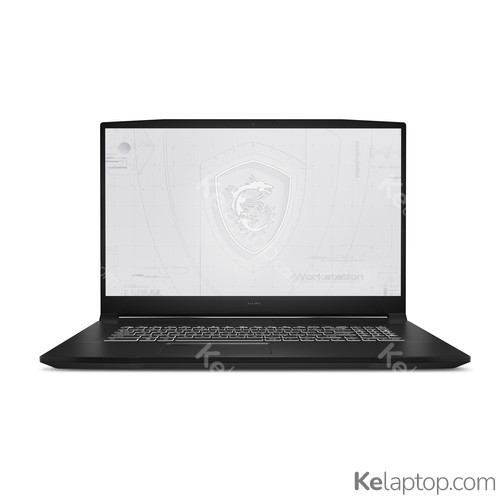 MSI Workstation WF76 11UJ-087RU Caractéristiques