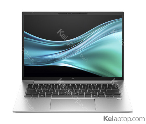 HP EliteBook 845 G11 9M4F9AT Características