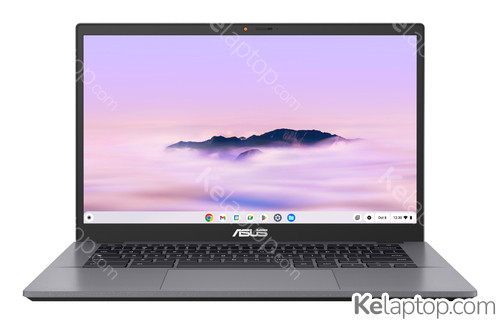 ASUS Chromebook Plus CX34 CX3402CVA-PQ0473 Caractéristiques