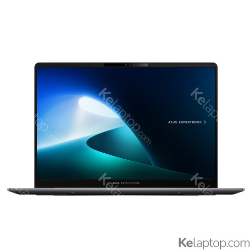 ASUS ExpertBook P5 P5405CSA-NZ0101 Specificaties