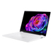 Acer Swift 14 AI SFE14-51T-94BZ Prezzo, voto e caratteristiche