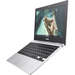 ASUS Chromebook CX1 CX1100CNA-AS42 Caratteristiche