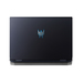 Acer Predator Helios 300 PH315-55-795C Ausstattung Acer Predator Helios 300 PH315-55-795C Ausstattung