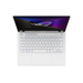 ASUS ROG Zephyrus G14 GA402XZ-CS94 Características