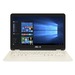 ASUS Zenbook Flip UX360CA Características