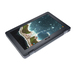 ASUS Chromebook Flip C213SA-YS02 Specs