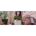 HP EliteBook 800 840 G5 3JX00EA Ausstattung