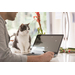 HP Pavilion x360 15 14-cd0801nd Specs