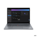 Lenovo ThinkPad T T14s 21F8004FUS Características Lenovo ThinkPad T T14s 21F8004FUS Características