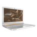 Acer Predator Helios 300 PH315-51-757A Specs