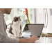 HP Pavilion x360 14 14-cd0021tx Specs HP Pavilion x360 14 14-cd0021tx Specs