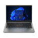 Lenovo ThinkPad E14 Gen 4 (Intel) 21E3007WSG Características