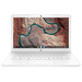 HP Chromebook 14 14-db0030nr Características