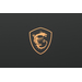 MSI Gaming GS GS75 STEALTH 8SF Caratteristiche MSI Gaming GS GS75 STEALTH 8SF Caratteristiche