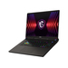 MSI Vector 17 HX A14V VECTOR A14VHG-689ES Ausstattung MSI Vector 17 HX A14V VECTOR A14VHG-689ES Ausstattung