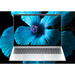 HP ZBook 8 G1i C3PF9UC#ABA Specs