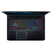 Acer Predator Helios 300 PH317-53-73DV Ausstattung