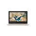 Lenovo IdeaPad Flex 3 CB 11IGL05 82BB0008US Price, score and specs
