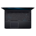 Acer Predator Triton 300 PT315-52-78W1 Price, score and specs