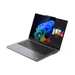 Lenovo ThinkPad X X9-14 Gen 1 Copilot+ 21QA0025SP Características